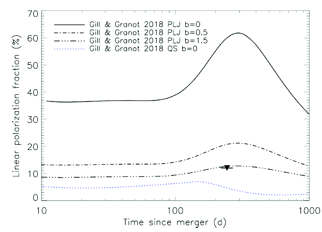 GW170817 radio polarization